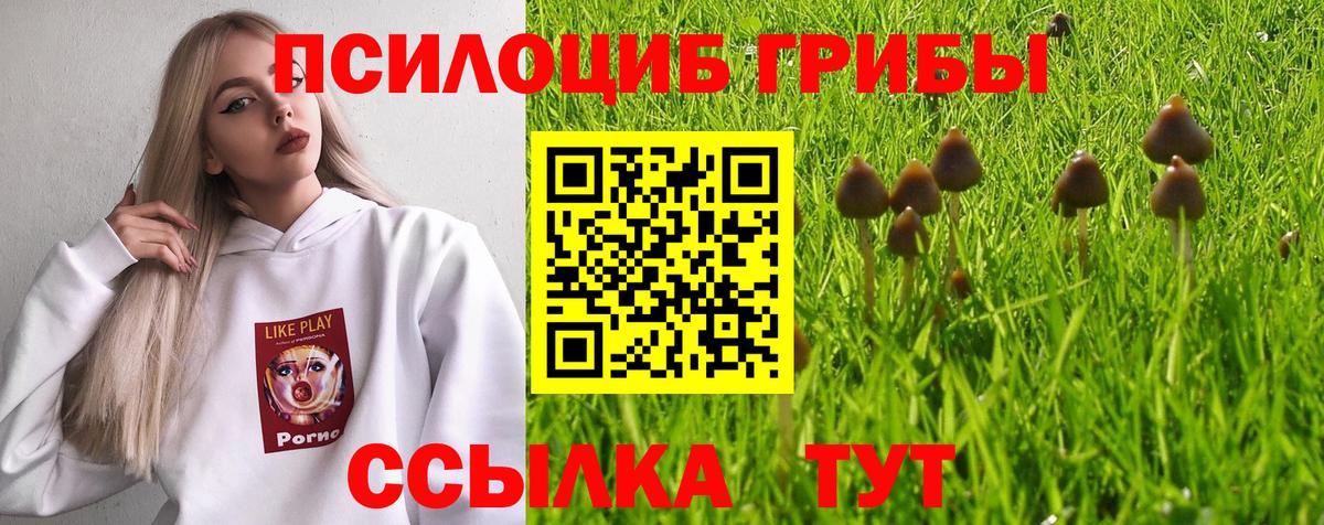 Галлюциногенные грибы Cubensis  Псилоцибиновые грибы Psilocybine cubensis  Вход с VPN  Абакан 