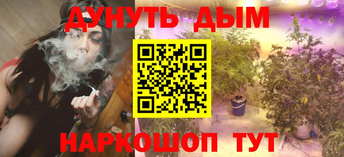 Конопля AK-47  Канабис сатива  Бошки Шишки ГИДРОПОН  Вход с VPN  Абакан 